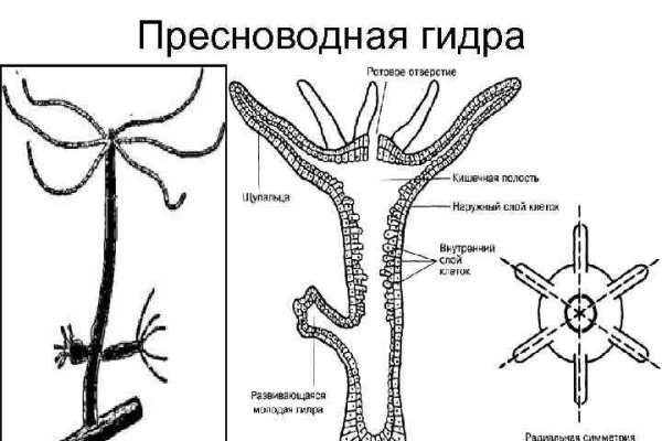 Заказать мефедрон